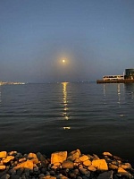 Мирзайева Айнур Эйнуллах кызы